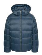 Calvin Klein Jeans Ls Nylon Zip Off Hood Down Puffe Marinblå