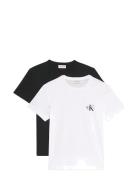 Calvin Klein Jeans A- Logo Cn 2 Pack Tee Multi/patterned