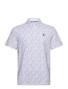 Original Penguin Golf 19Th Hole Sake-Tini Novelty Print Polo Vit