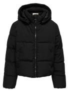 Kids Only Kogdolly Life Sht Puffer Jacket Otw Noos Svart