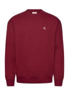 Calvin Klein Jeans Ls Eu 350Terry Monogram Cn Swtsh Röd