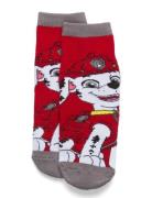 Paw Patrol Socks Röd
