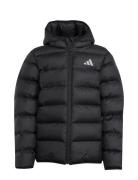 Adidas Sportswear J Sd Jkt Svart