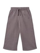 Wheat Sweatpants Straight Cruz Lila