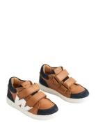 Wheat Sneaker Walther Brun