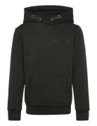 Björn Borg Borg Essential 1 Hoodie Svart