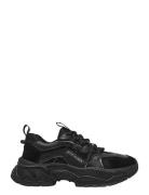 Steve Madden Animates-E Svart