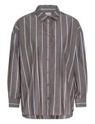 ICHI Ihsadia Sh2 Brun