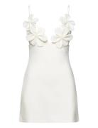 Bardot Ingrid Flower Full Cup Dress Vit