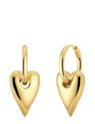 Edblad Amore Hoops L Gold Guld