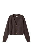 Name It Nkfholly Boxy Short Knit Card Noos Brun