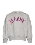 The New Tnpolina Os Sweatshirt Grå