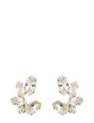 Caroline Svedbom Clare Earrings Gold Vit