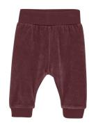 Fixoni Pants Velour Burgundy