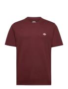 Dickies Ss Mapleton T-Shirt Röd