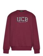 United Colors Of Benetton Sweater L/S Burgundy