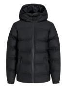 Jack & J S Jjelements Pu Puffer Jnr Svart