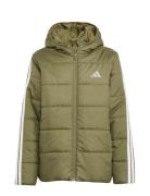 Adidas Sportswear J Ess 3S Jkt Khaki Green
