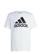 Adidas Sportswear M Bl Sj T Vit