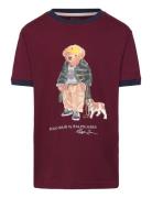 Ralph Lauren Kids Polo Bear Cotton Ringer Tee Burgundy