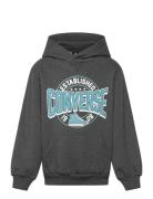 Converse Po-Pull-Over Hoody Grå
