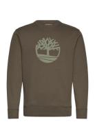 Timberland Tree Logo Crew Neck Sweatshirt Grön