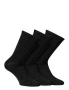 Alpacasocks&Co Knitted Merino Socks In 3-Pack Mixed Svart