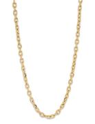 Samie Anker Necklace Guld