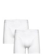 Björn Borg Organic Cotton Stretch Boxer 2P Vit