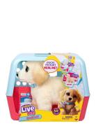 Little Live Pets Little Live Pets Ouchies Multi/patterned