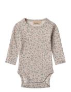 Wheat Wool Body L/S Lucca Beige