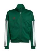 Adidas Sportswear J Hot Ttop Grön