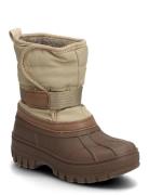 Bisgaard Bisgaard Pacson Brun