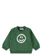 Molo Disc Khaki Green