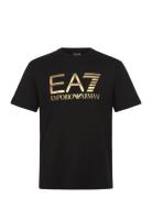EA7 T-Shirt Svart