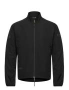EA7 Sweatshirt Svart