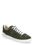 Polo Ralph Lauren Suede-Hrt Crt Ii-Sk-Ltl Khaki Green