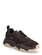 Steve Madden Possess-H Brun