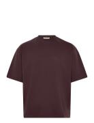 Prohibited Verdant Reverie Tee Brun