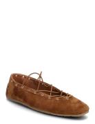 Steve Madden Pointe Brun