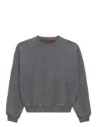 Prohibited Over D Crew Neck Grå