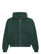 Prohibited Over D Zip-Hoodie Grön
