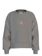 Calvin Klein Ck Logo Cn Fleece Sweatshirt Grå