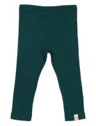 Petit Piao Legging Modal Grön