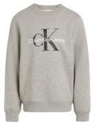 Calvin Klein Ck Monogram Terry Cn Grå