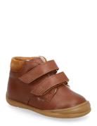 ANGULUS Skor Badskor - Flat - With Velcro Brun