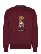 Hackett London Heritage Harry Crew Burgundy