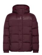 Tommy Hilfiger Mix Down Hooded Puffer Burgundy