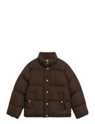 GANT Active Cloud Jacket Brun