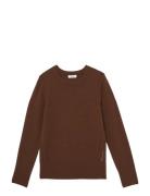 Reiss Anya Brun